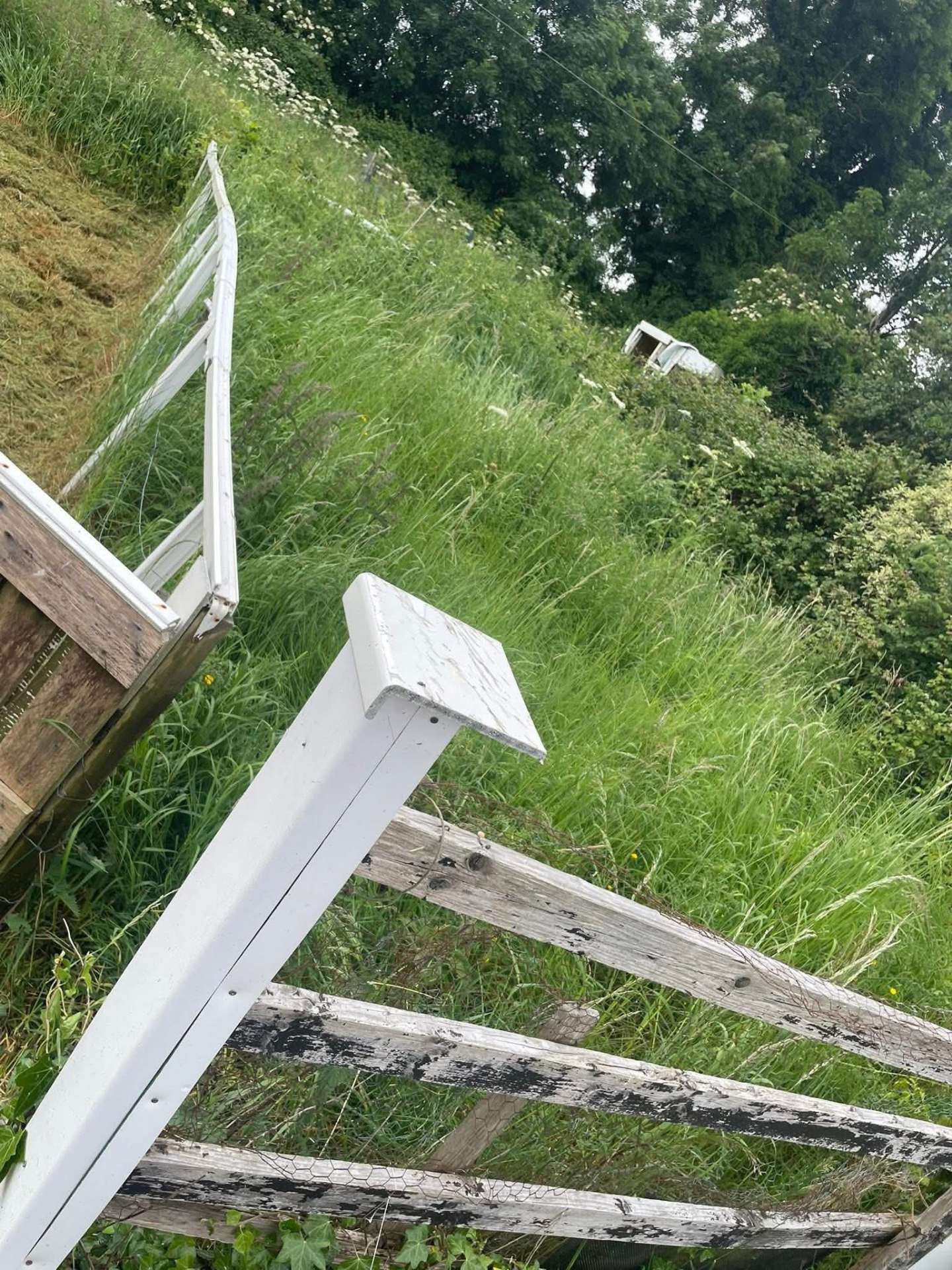 Cleared garden bank
