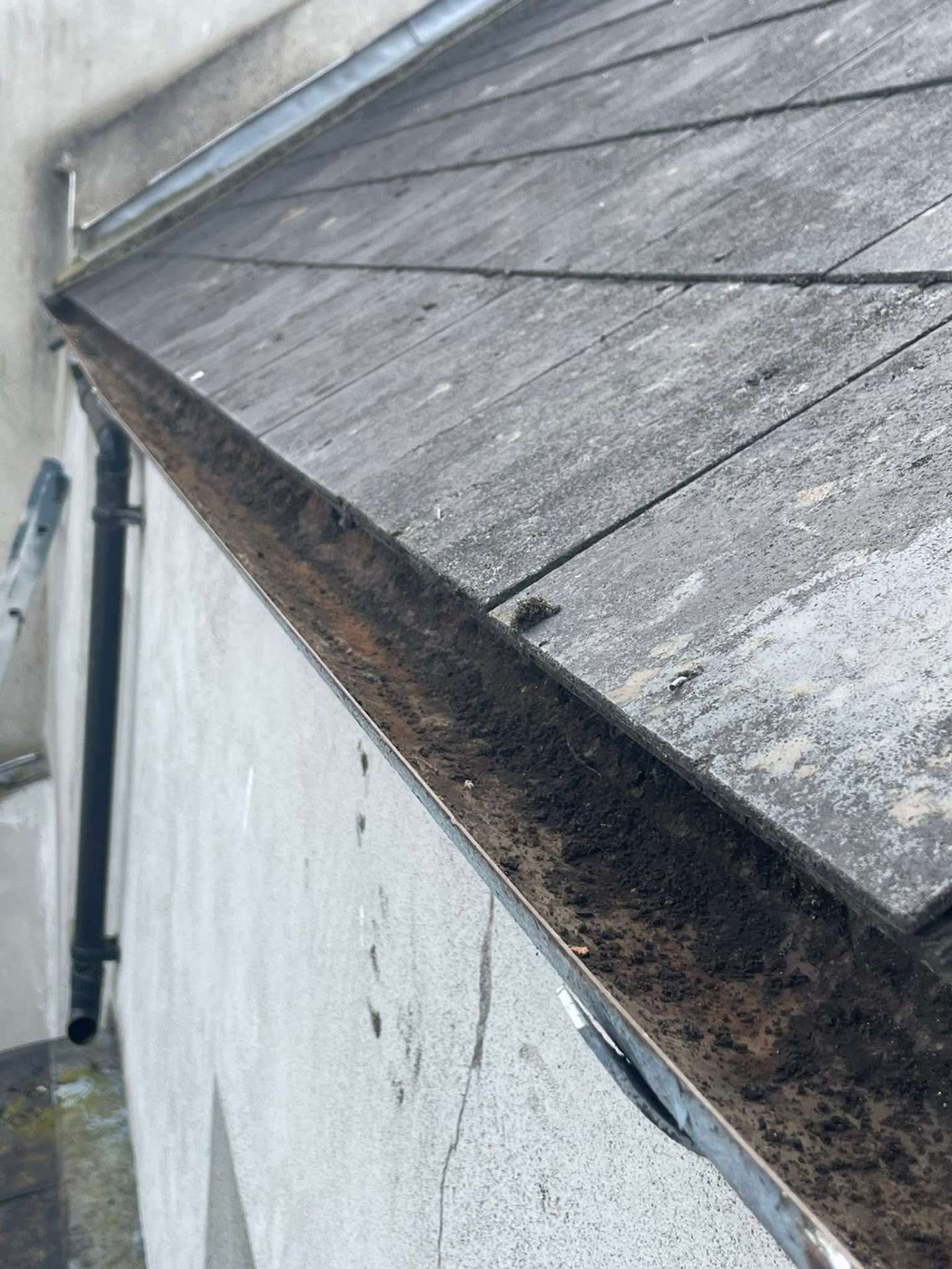 Gutter detail before cleaning