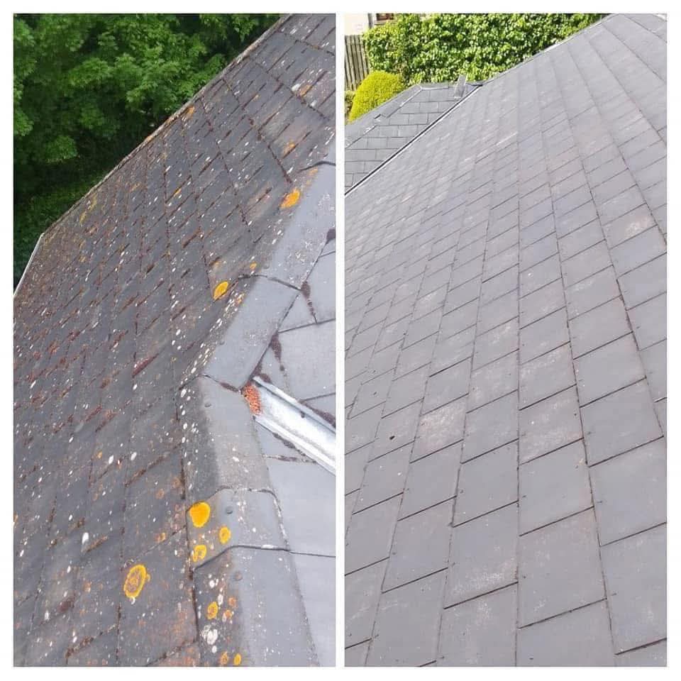 Roof Cleaning